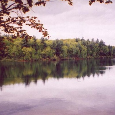 Timeline: Chapter 12 Timeline