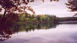 Timeline: Chapter 12 Timeline