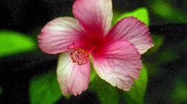 Timeline: Sydney`s and Lacie`s ``cool and fun timeline!!!!!!!!!!!!!!!!!!!!!!!!!!