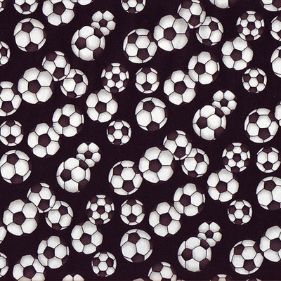 Timeline: Moving Westward By:Sarah H and Brooke J