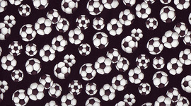 Timeline: Jake and Vincent time line project