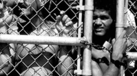 Timeline: The number of asylum seekers arrived in Australia between 1976 to 2010