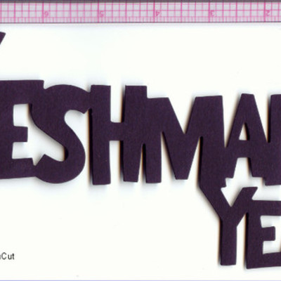 Timeline: Freshman year 2011-2012