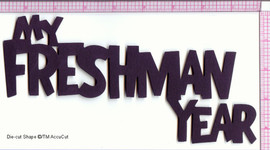 Timeline: Freshman year 2011-2012