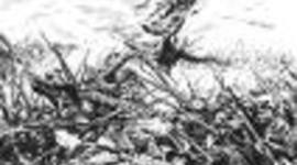 Timeline: Civil War Annotated Timeline