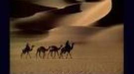 Timeline: Search for the Niger