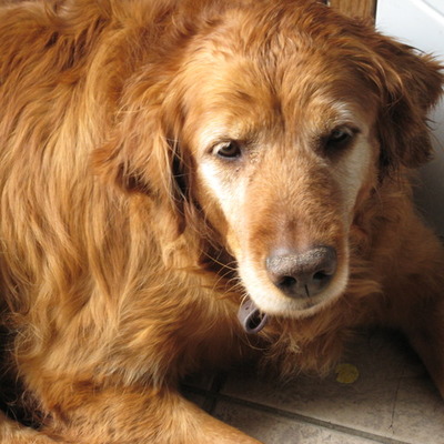 Timeline: The Rise of the Roman Republic