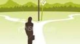 Timeline: Career Path