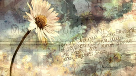 Timeline: My Year As A Freshman!!