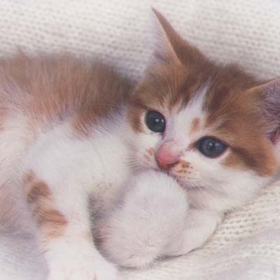 Timeline: Emma's   timelines