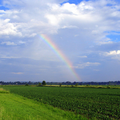 Timeline: The Four Seasons