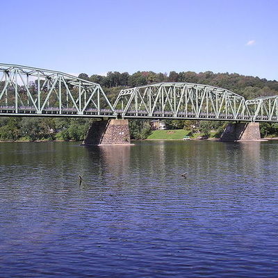 Timeline: Nature Detectives Trial