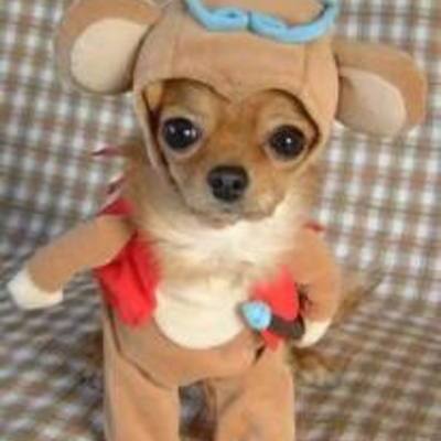 Timeline: `Regina Reeves period 3