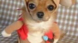 Timeline: `Regina Reeves period 3