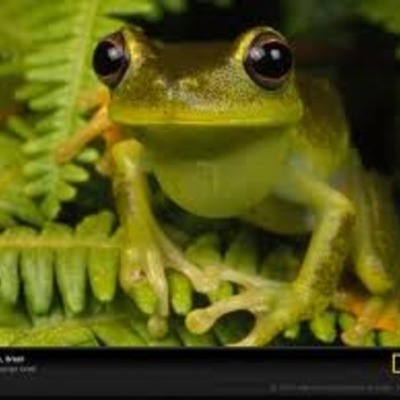 Timeline: Lucy's Timeline 2011 !