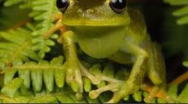 Timeline: Lucy's Timeline 2011 !