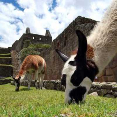 Timeline: Peru's History