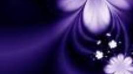 Timeline: Erika's   and   Kaylee's    time line!