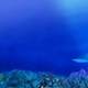 Underwater