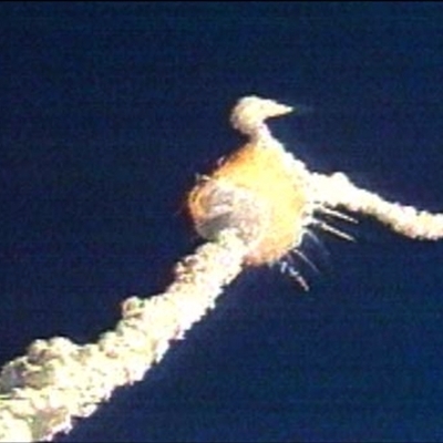 Timeline: Top Ten Events of the 1980's