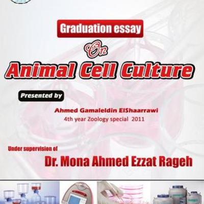 Timeline: animal cell culture