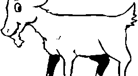 Timeline: Space Race Timeline