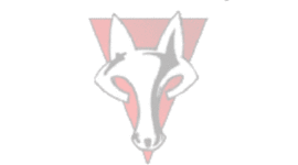 Timeline: Hartwood's 5th Grade Social Studies Research Sites