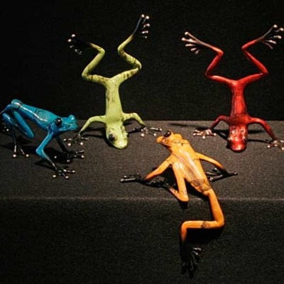 Timeline: English Was Not Always The Same