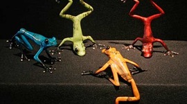 Timeline: English Was Not Always The Same