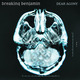 Breaking benjamin dear agony