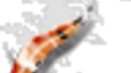 Timeline: 5 years of my Life