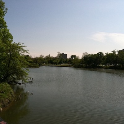 Timeline: Jackson Park Restoration Timeline