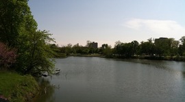 Timeline: Jackson Park Restoration Timeline