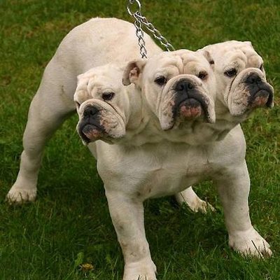 Timeline: JESS' TIMELINE