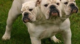 Timeline: JESS' TIMELINE