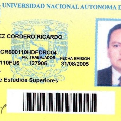 Timeline: Mi desarrollo profesional