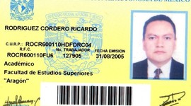 Timeline: Mi desarrollo profesional