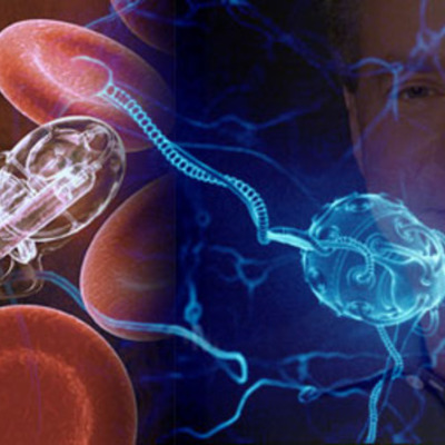 Timeline: Evolucion de Internet