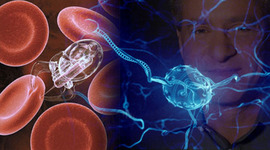 Timeline: Evolucion de Internet