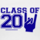 Class of 2011 graduation blue and white tanks design
