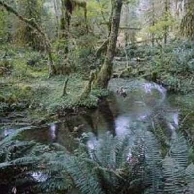 Timeline: American Revolutionary War