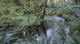 Timeline: American Revolutionary War