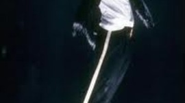 Timeline: Michael Jackson