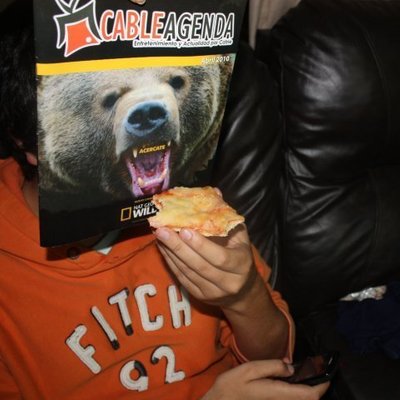 Timeline: Mi vida y control total de calidad