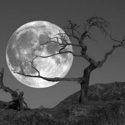 Timeline: Jucemir  -  fotos