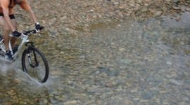 Timeline: Curso PPDA