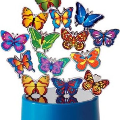 Timeline: A magia da leitura e escrita