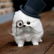 Tumblr lhwtsxzads1qewacoo1 500