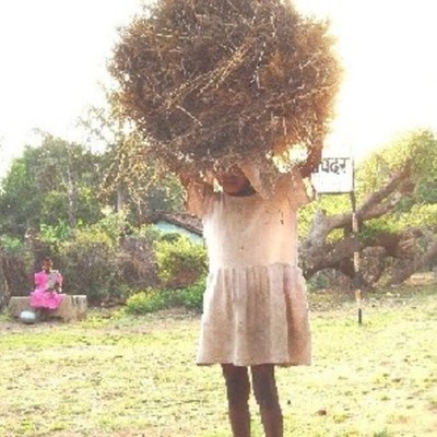 Timeline: The History of Child Labor