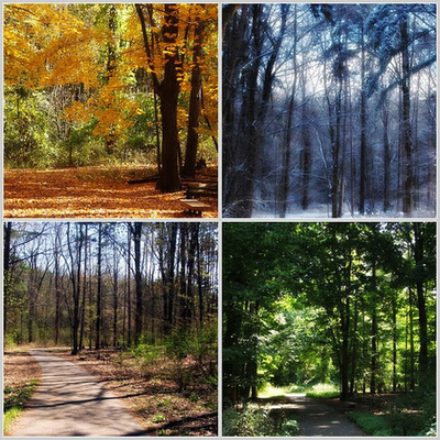 Timeline: The four seasons